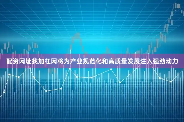 配资网址找加杠网将为产业规范化和高质量发展注入强劲动力