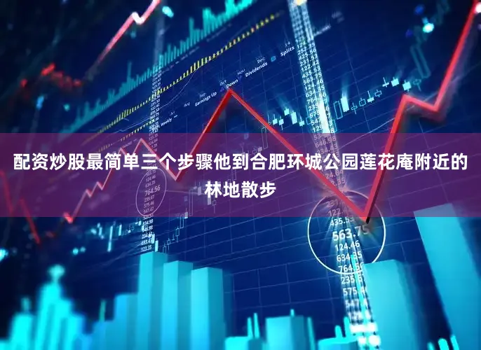 配资炒股最简单三个步骤他到合肥环城公园莲花庵附近的林地散步