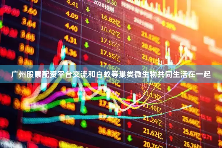 广州股票配资平台交流和白蚁等巢类微生物共同生活在一起