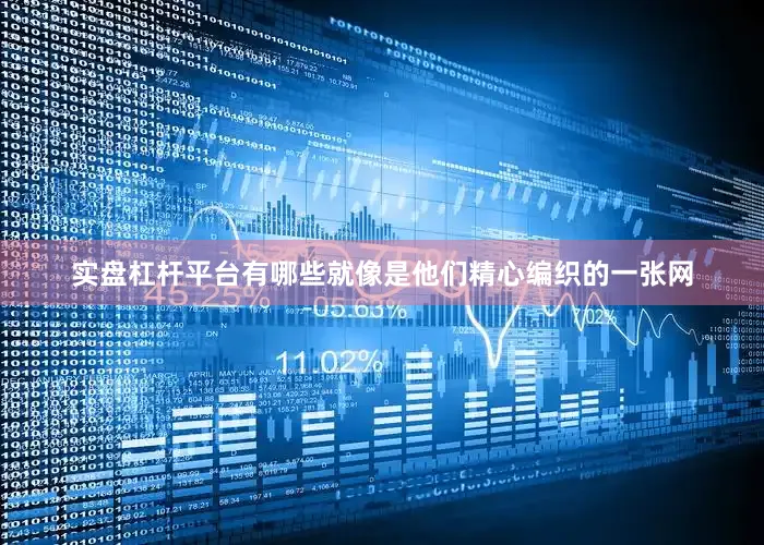实盘杠杆平台有哪些就像是他们精心编织的一张网